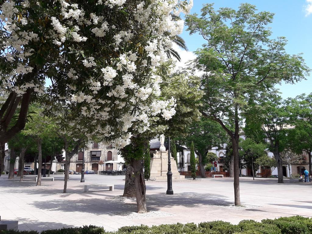Apartamentos Sol De Mayo Úbeda Dış mekan fotoğraf